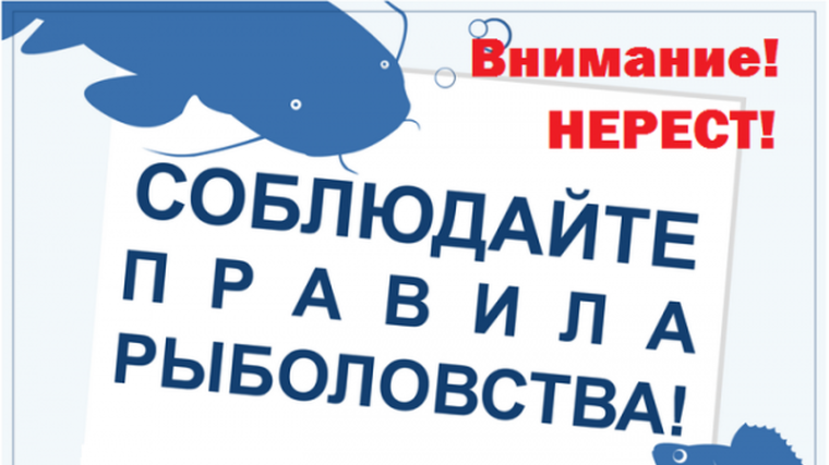Впереди нерестовый период. Впереди нерестовый период.